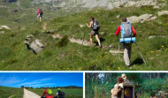 Así son los 24 tipos de paisaje que se han identificado en el Camino Francés