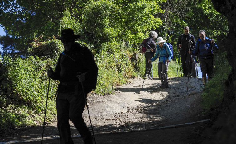 Piden siete años de prisión para un peregrino por intento de homicidio en pleno Ensanche de Santiago