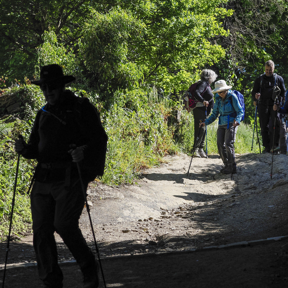 Todas las rutas del Camino están 