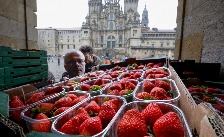 Reparto de fresas en el Obradoiro