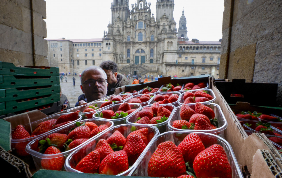 Reparto de fresas en el Obradoiro