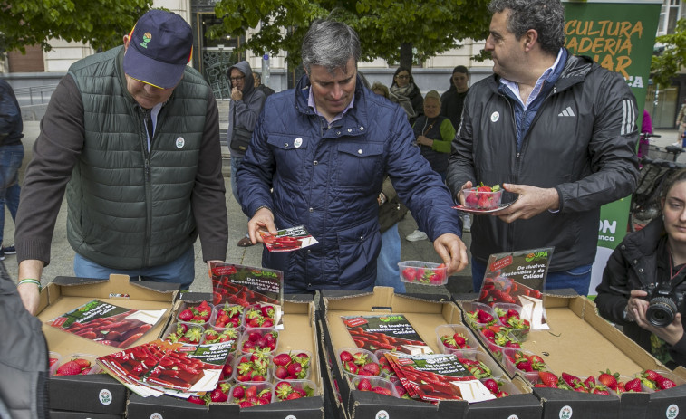 UPA Andalucía lleva a la Praza do Obradoiro fresas 