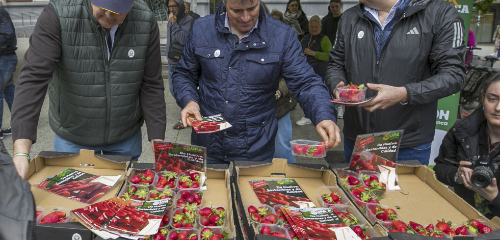 UPA Andalucía lleva a la Praza do Obradoiro fresas 