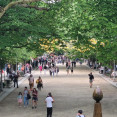 Alameda