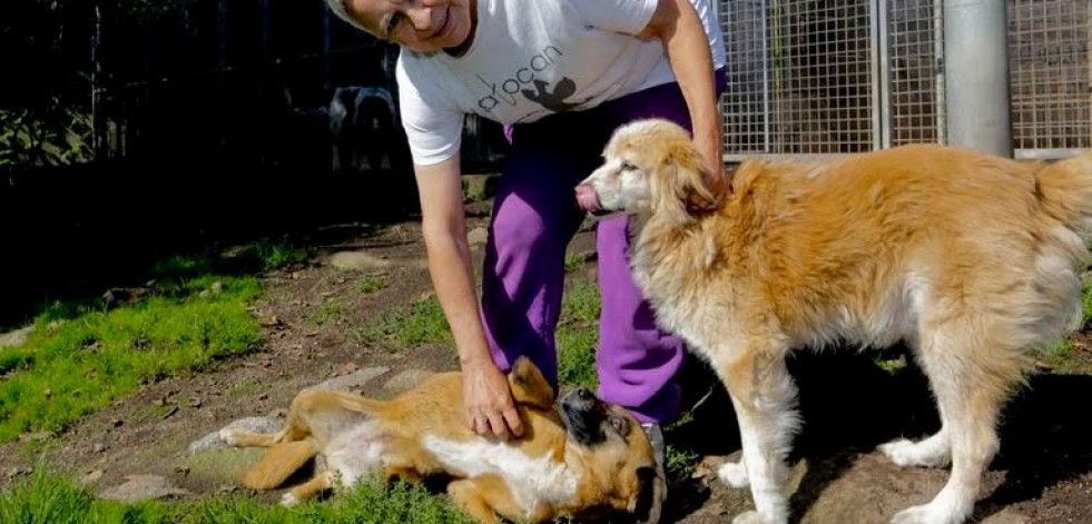 Beatriz Martín, presidenta de Gatocan: “Me gustaría pedir que dejemos de comprar animales por su raza o apariencia”