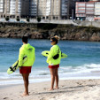 Las picaduras en A Coruña son autóctonas