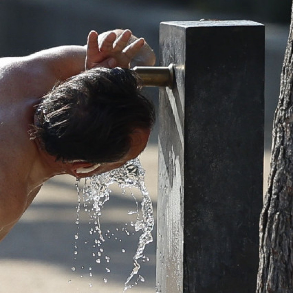 Calor 14