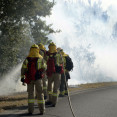 EuropaPress 6165089 varios bomberos tratan apagar fuego incendio forestal parroquia oseira 20 agosto