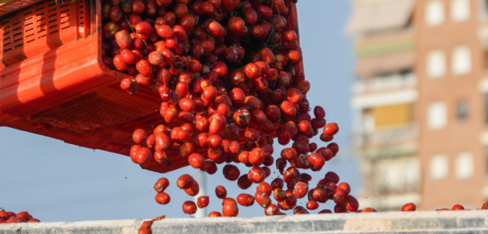 La Tomatina teñirá de rojo Buñol con una munición festiva de 120.000 kilos de tomate