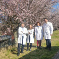 Equipo de Galzheimer Care