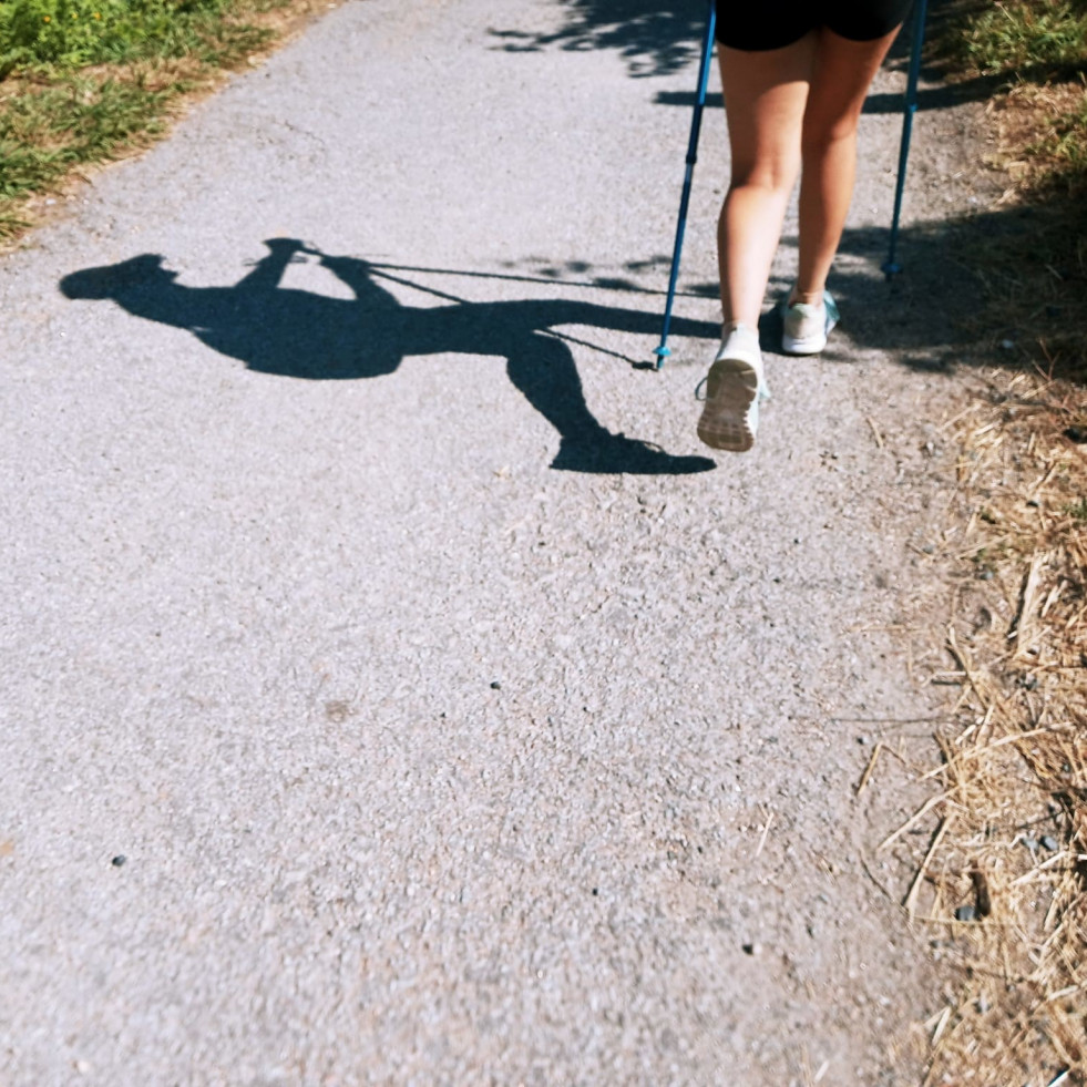Camino de Santiago