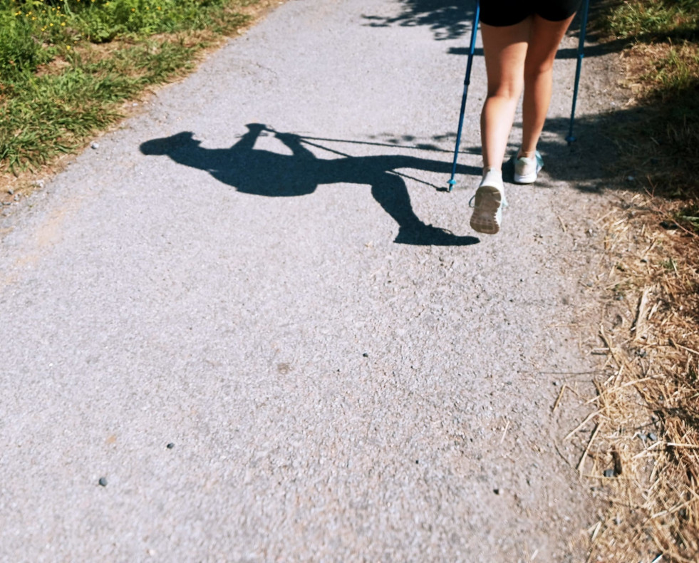 Camino de Santiago