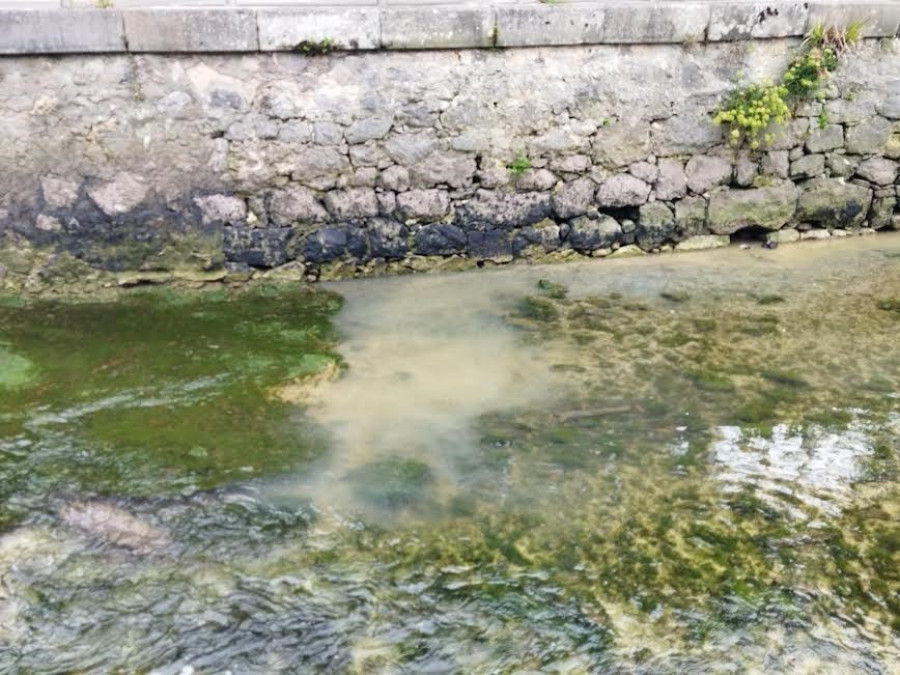 Eliminan vertidos de aguas residuales en Vedra y Trazo