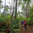 Bosque del Banquete de Conxo @ Roteiros Galegos