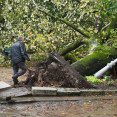 Un árbol caído a causa del viento provocado por la borrasca Kirk en el parque de la Alameda