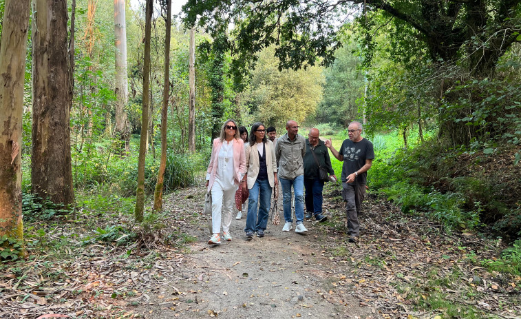 El PSOE de Santiago carga contra el proyecto en el bosque del Banquete de Conxo de la Xunta