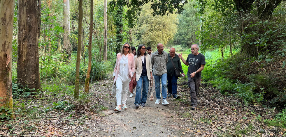 El PSOE de Santiago carga contra el proyecto en el bosque del Banquete de Conxo de la Xunta