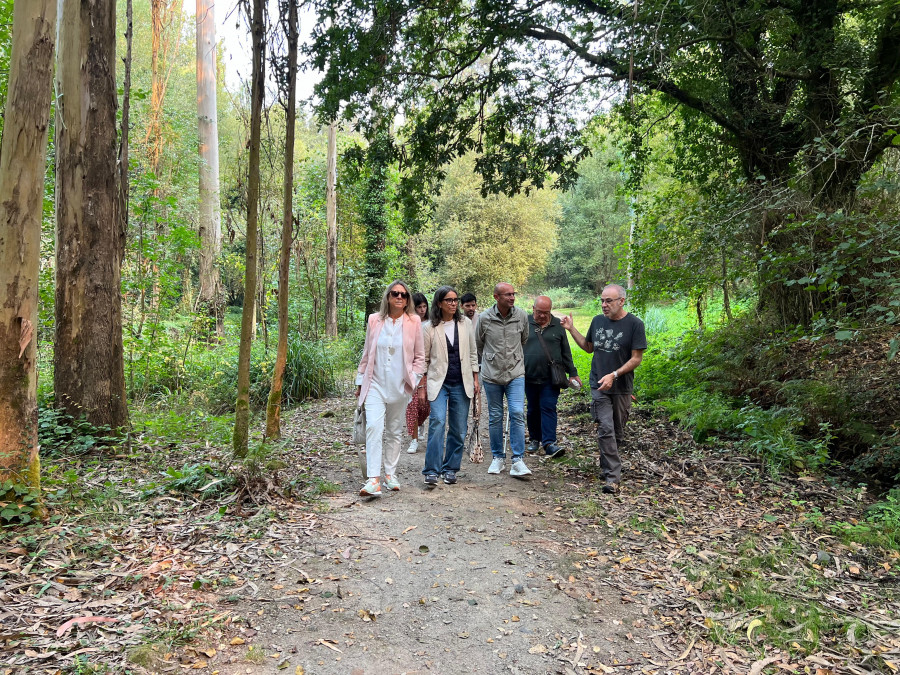 El PSOE de Santiago carga contra el proyecto en el bosque del Banquete de Conxo de la Xunta