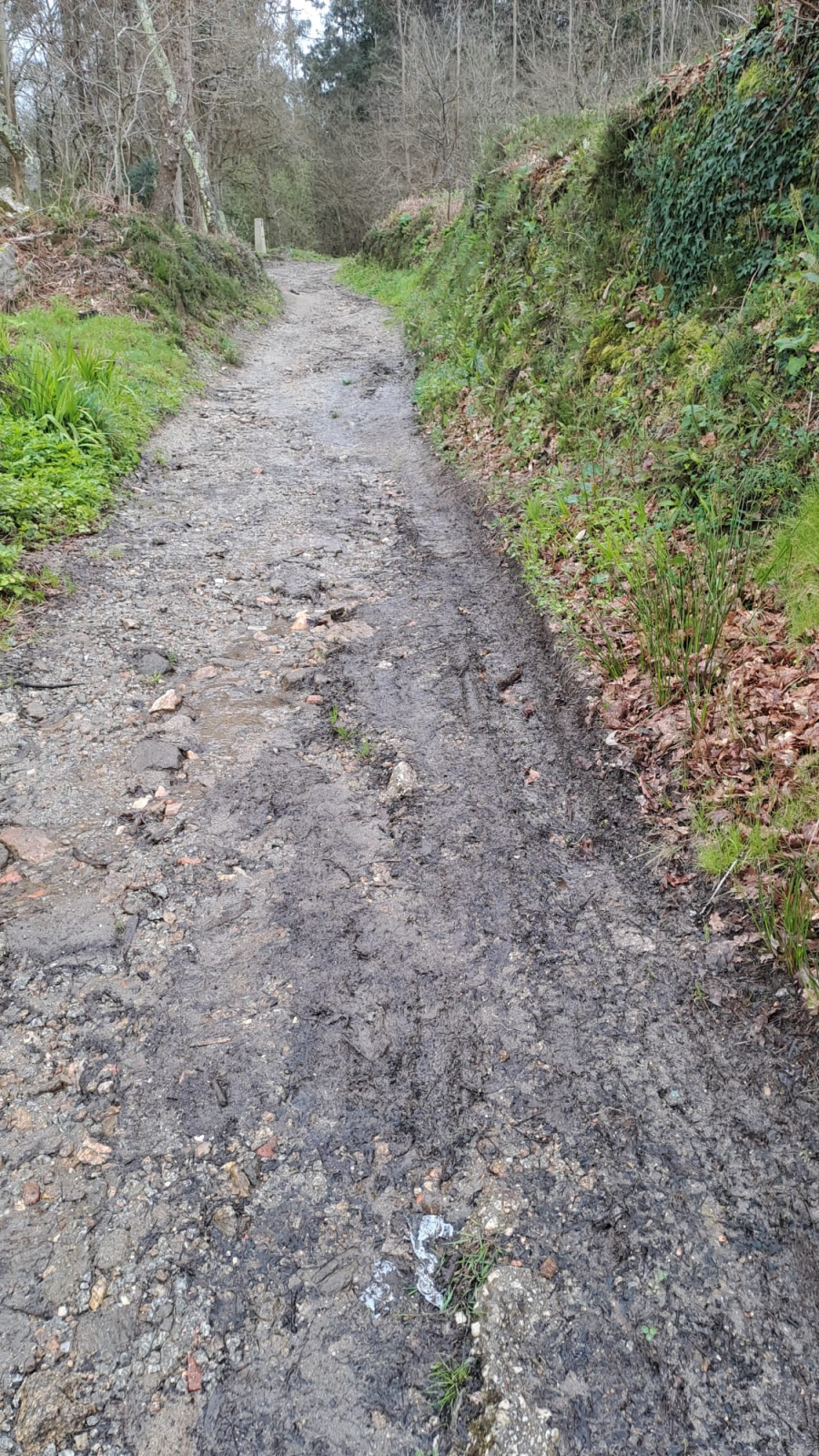 Críticas en la parroquia de Figueiras por la "desesperante" falta de limpieza de las carreteras