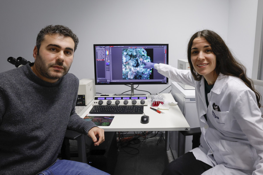 El centro de investigación de Santiago que busca fórmulas para acabar con el cáncer