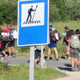 Peregrinos en el Camino de Santiago