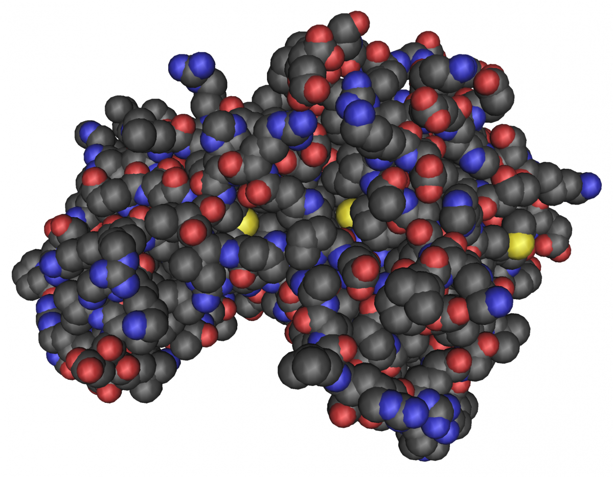 MMDB ID 90115 PDB ID 3AQV AMP activated protein kinase