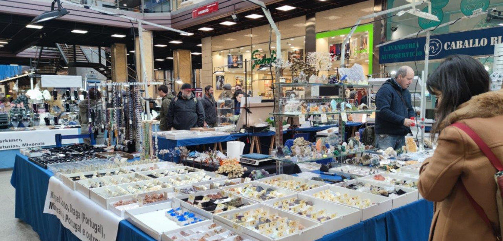 Área Central se llena de tesoros vintage y ofertas con su popular Feria de Antigüedades