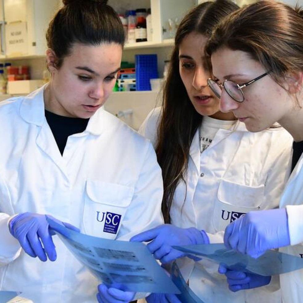 Estas 6 carreras de la USC se encuentran entre las 50 mejores titulaciones de toda España