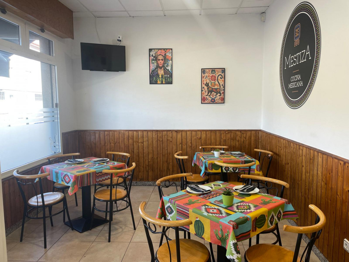 Mestiza pet friendly
