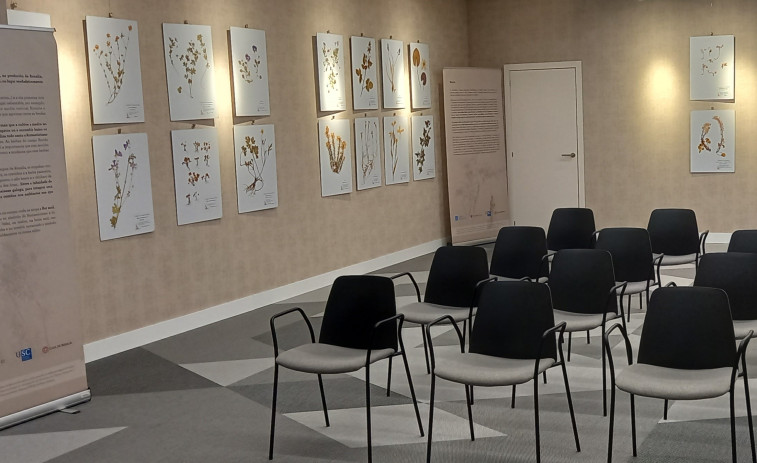 Un herbario para Rosalía: literatura e natureza únense nunha mostra en El Corte Inglés