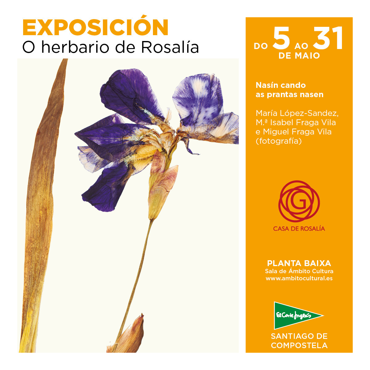 Cartaz do evento