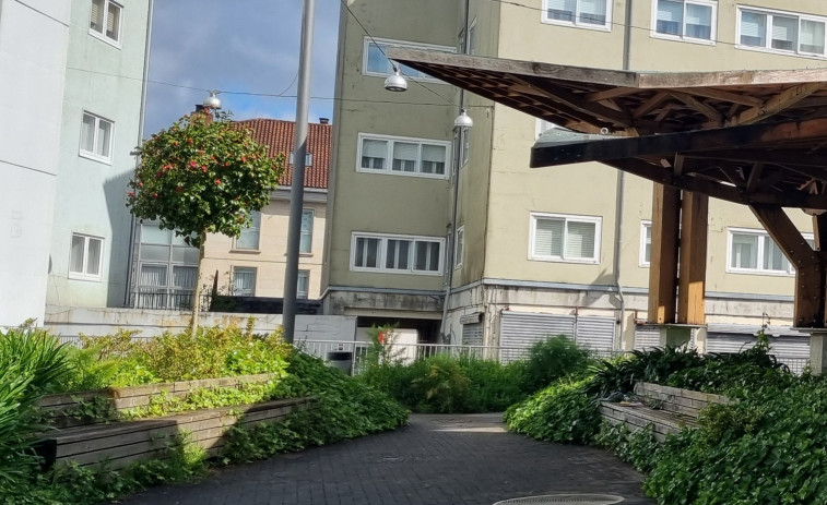 Reclaman a limpeza da vexetación que invade os espazos públicos no barrio de Vista Alegre
