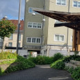 O estado dun dos parques do barrio