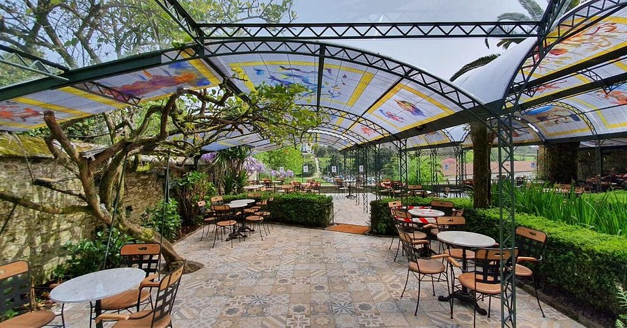 Terraza del Momo