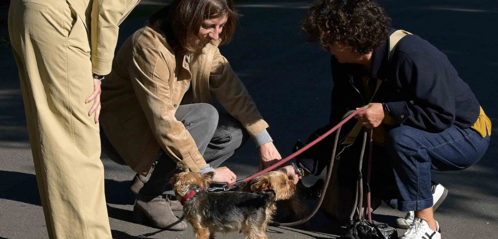 La conselleira de Medio Ambiente apela a adoptar animales desde Oleiros