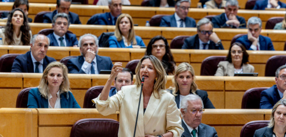 El Senado exigirá al Gobierno central una investigación independiente sobre el apagón del 28-A