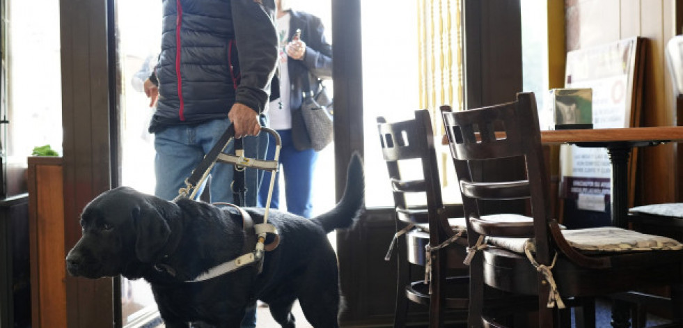 Las personas con perros de asistencia podrán acceder con ellos a espacios de uso público