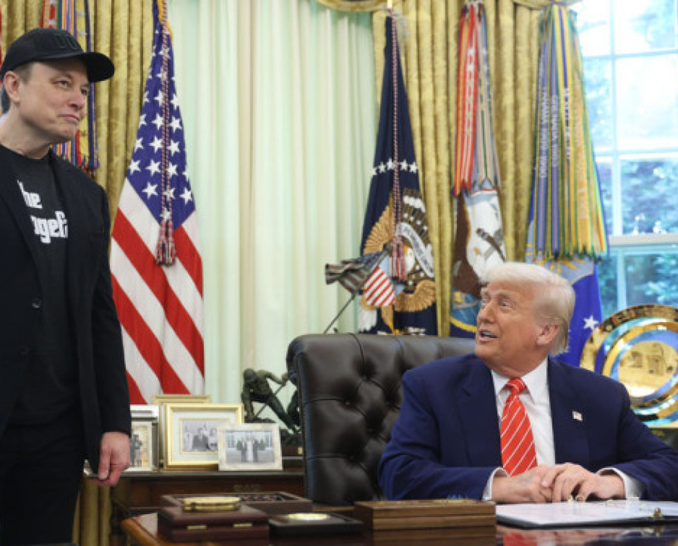 DonaldTrumpyElonMusk