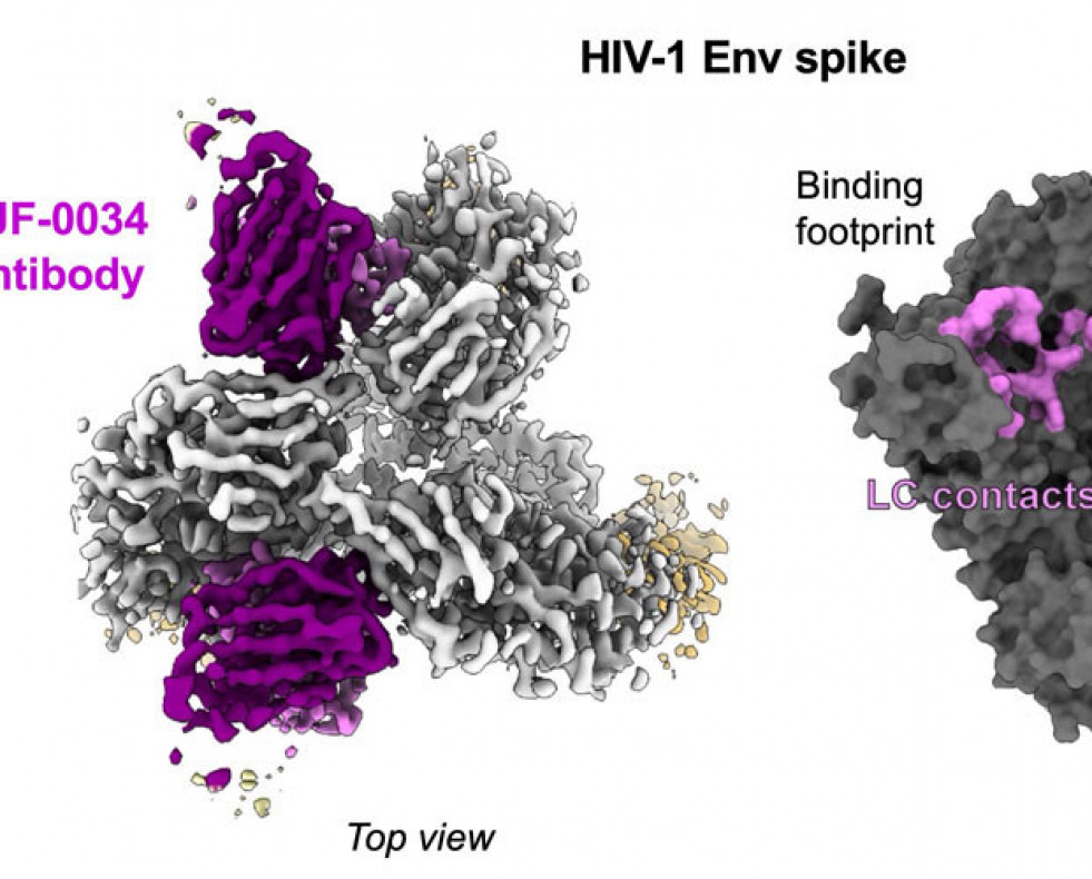 20250527 wyatt hiv vaccine 920x500
