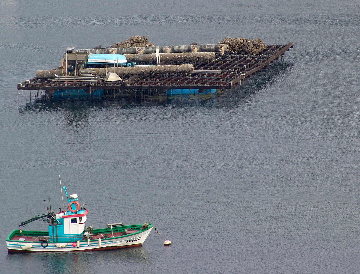 1200px Vigo Galicia Batea e barco