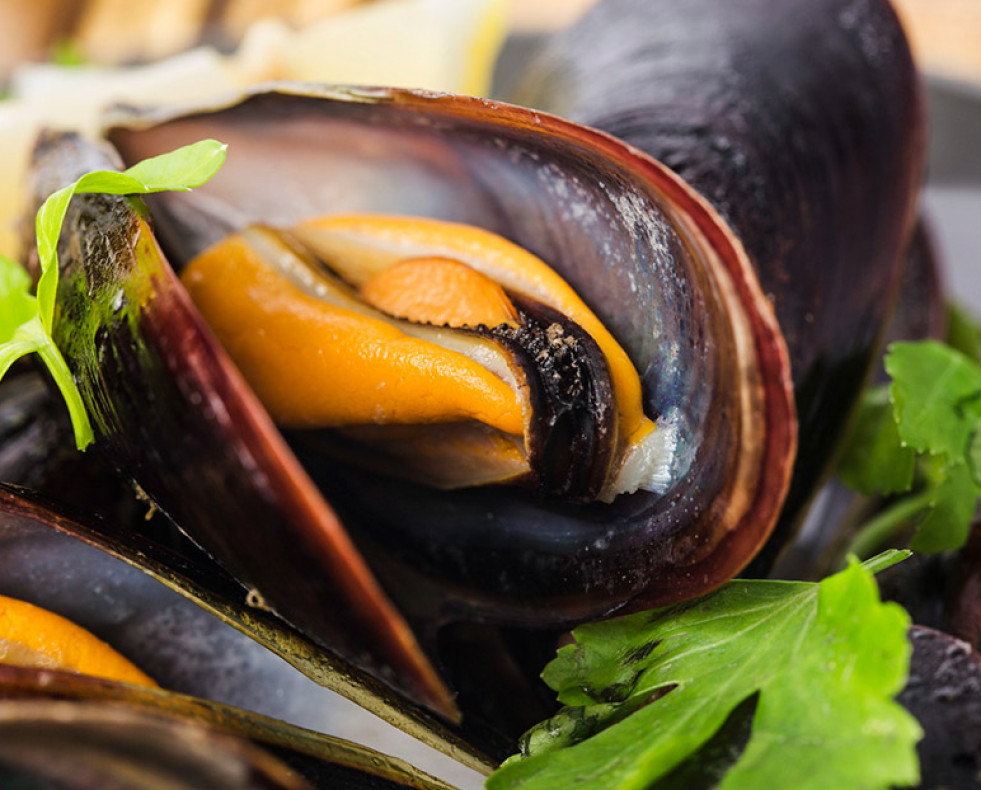 Mejillones
