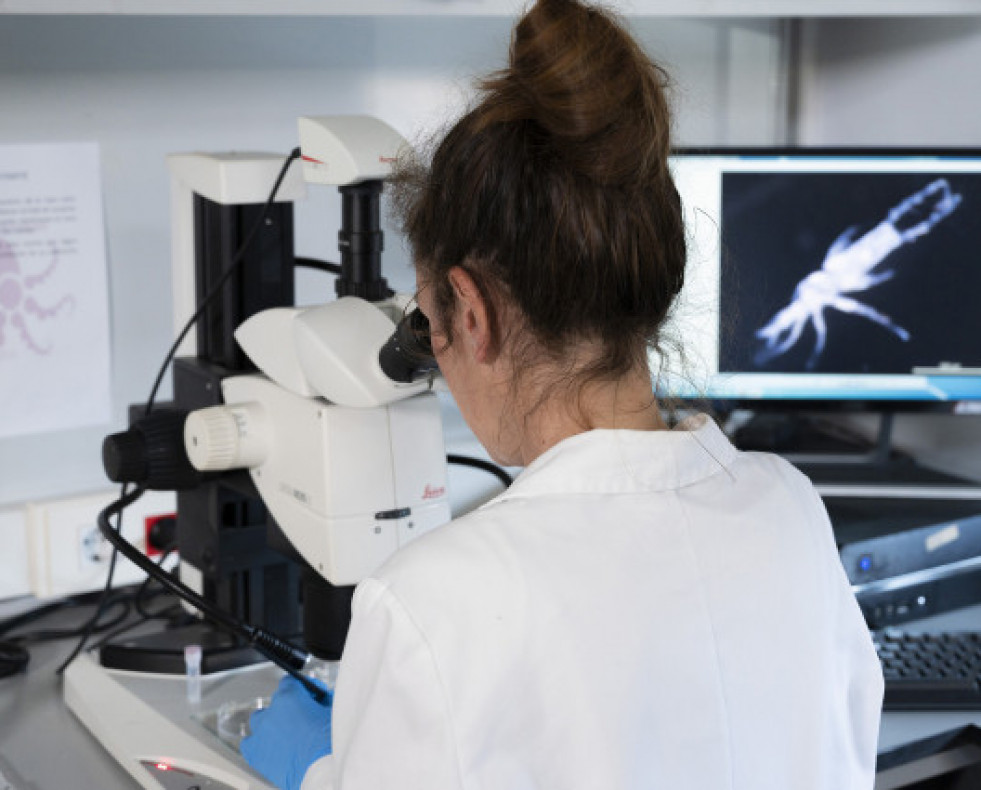 Galicia1INVESTIGADORES