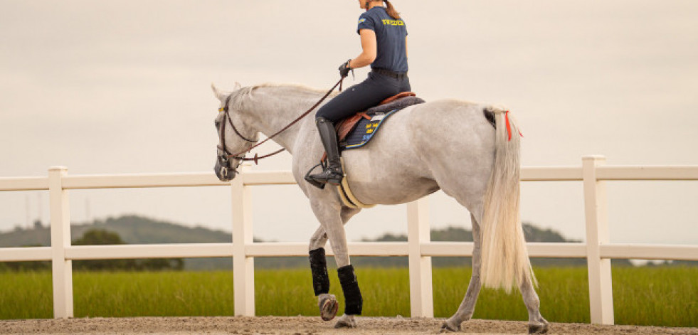 Todo listo en Casas Novas para el comienzo del Campeonato de Europa de Saltos Longines FEI