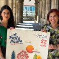 Festa picara compostela
