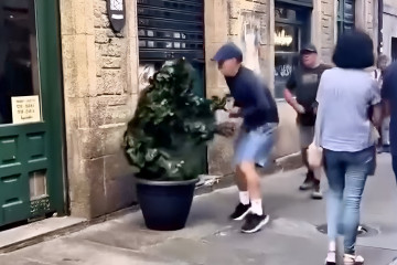 Hombre arbol (1)