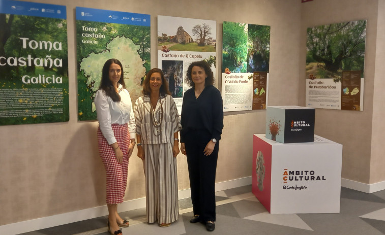 Los castaños más singulares de Galicia protagonizan una exposición en El Corte Inglés de Santiago