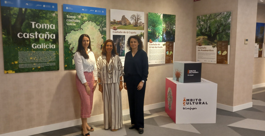 Los castaños más singulares de Galicia protagonizan una exposición en El Corte Inglés de Santiago