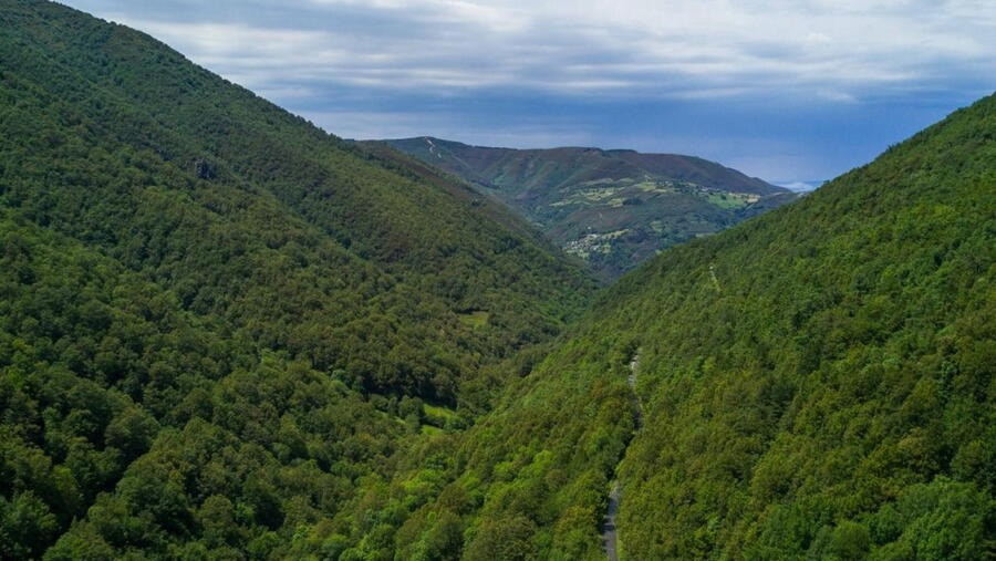 Galicia e o norte peninsular, a chave para contrarrestar as emisións de CO2 de España