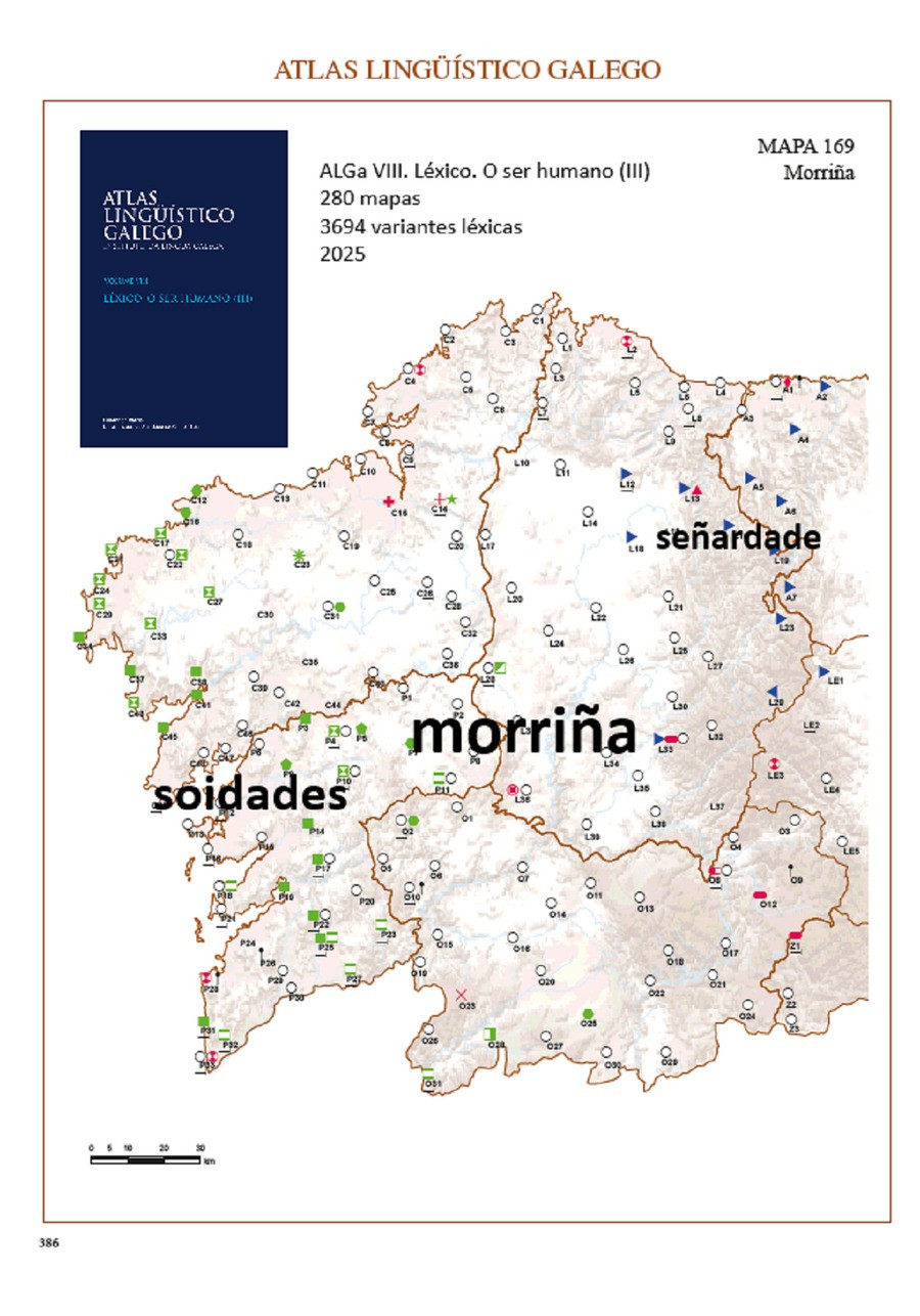 Morrina 2025 alga 8
