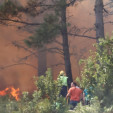 Incendios por la acción  (in)humana